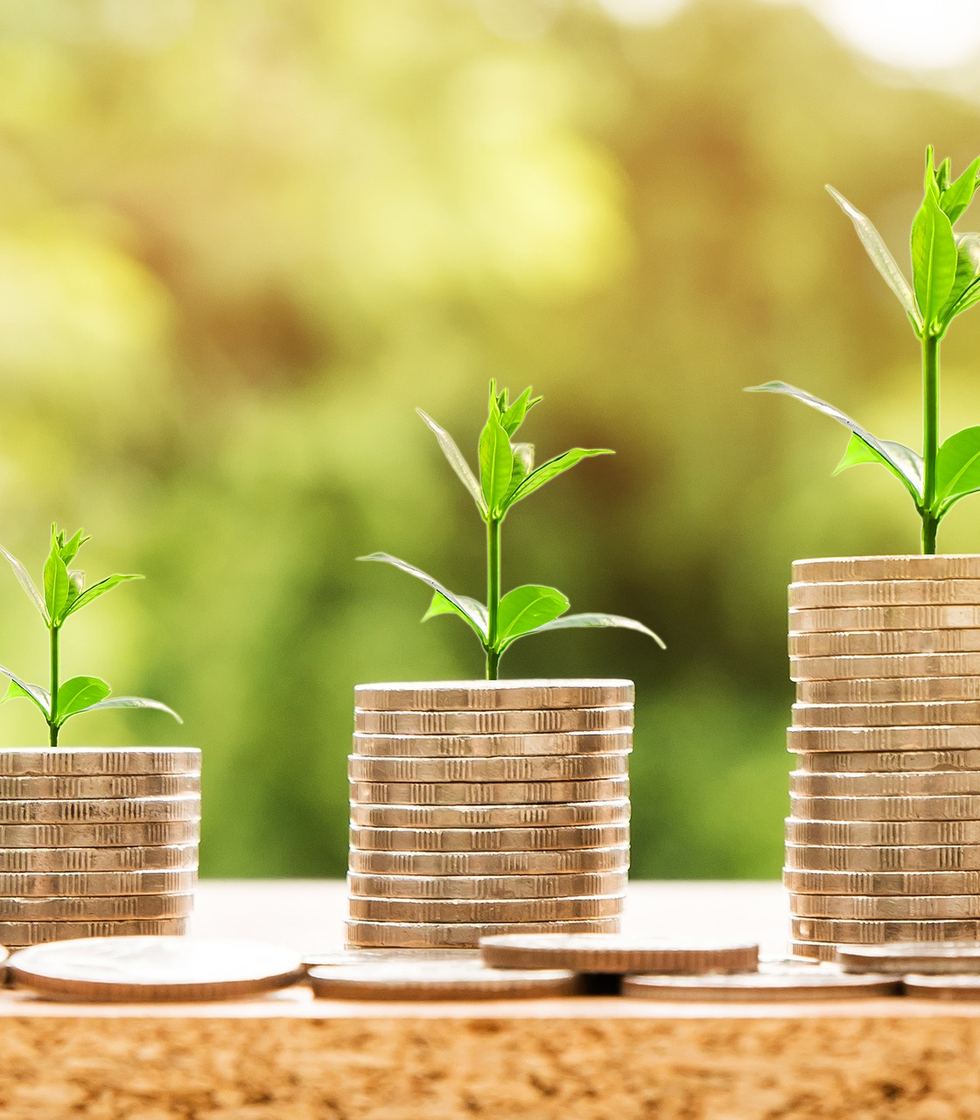 Stacks of coins growing plants, a picture of steady growth